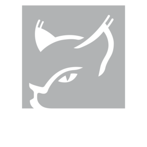 20200922a Marketing Foto Hörluchs GS Logo Luchs+(1)